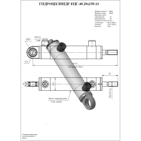 Гидроцилиндр ЕЦГ-40.20х250.13