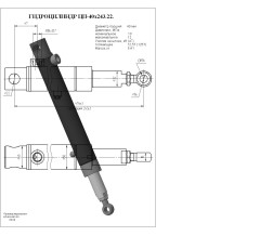 Гидроцилиндр ЦП-40х243.22