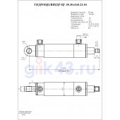 Гидроцилиндр ЦГ-50.30х160.23-01