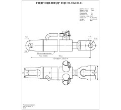 Гидроцилиндр ЕЦГ-50.30х200.01