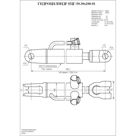 Гидроцилиндр ЕЦГ-50.30х200.01
