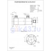 Гидроцилиндр ЦГ-60.30х100.65