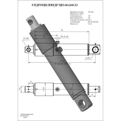 Гидроцилиндр ЦП-60х260.22