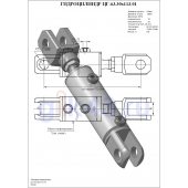 Гидроцилиндр ЦГ-63.30х113.01