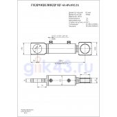 Гидроцилиндр ЦГ-63.45х102.21