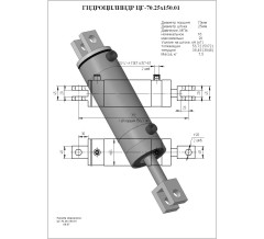 Гидроцилиндр ЦГ-70.25х150.01