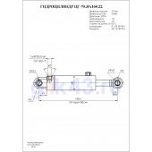 Гидроцилиндр ЦГ-70.35х160.22