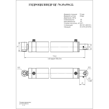 Гидроцилиндр ЦГ-70.35х550.22