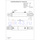 Гидроцилиндр ЦГ-70.40х215.01