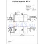Гидроцилиндр ЦГ-80.35х80.18