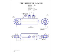 Гидроцилиндр ЦГ-80.40х100.11