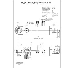 Гидроцилиндр ЦГ-80.40х100.19-01