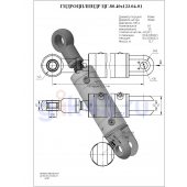 Гидроцилиндр ЦГ-80.40х123.04-01