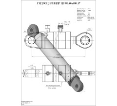 Гидроцилиндр ЦГ-80.40х680.17