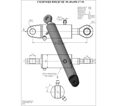 Гидроцилиндр ЦГ-80.40х680.17-01