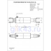 Гидроцилиндр ЦГ-80.50х250.01-01