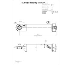 Гидроцилиндр ЦГ-80.50х250.14