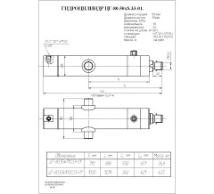 Гидроцилиндр ЦГ-80.50х1000.33-01