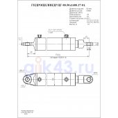 Гидроцилиндр ЦГ-80.50*1400.17-02