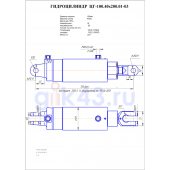 Гидроцилиндр ЦГ-100.40х200.01-03