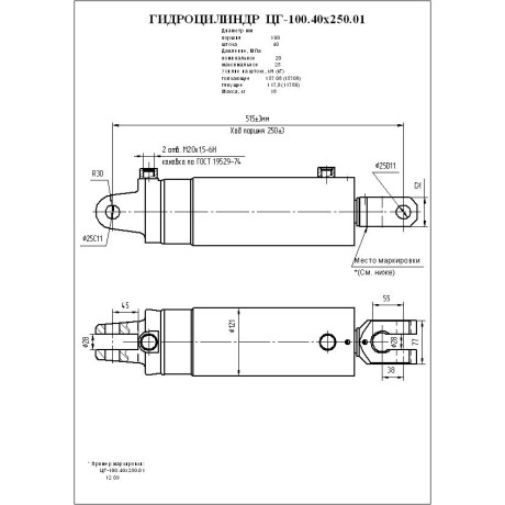Гидроцилиндр ЦГ-100.40х250.01