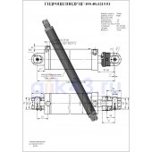 Гидроцилиндр ЦГ-100.40х1215.01