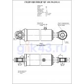 Гидроцилиндр ЦГ-100.50х200.11