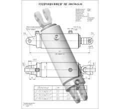 Гидроцилиндр ЦГ-100.50х250.01