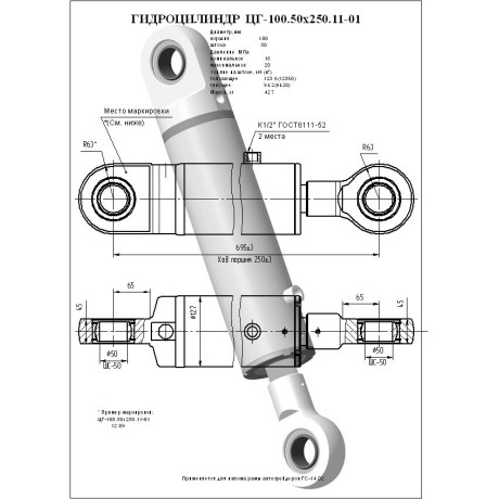 Гидроцилиндр ЦГ-100.50х250.11-01