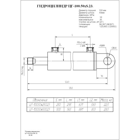 Гидроцилиндр ЦГ-100.50х250.23