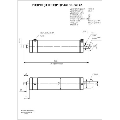 Гидроцилиндр ЦГ-100.50х600.02