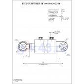 Гидроцилиндр ЦГ-100.50х630.22-01