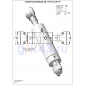 Гидроцилиндр ЦГ-100.50х630.70
