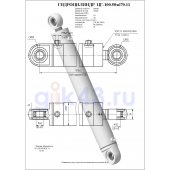 Гидроцилиндр ЦГ-100.50х670.11