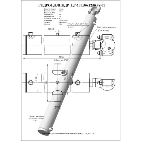 Гидроцилиндр ЦГ-100.50х1250.48-01
