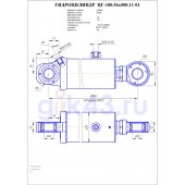 Гидроцилиндр ЦГ-100.56х500.11-01