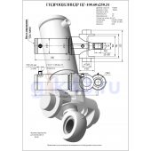 Гидроцилиндр ЦГ-100.60х250.31