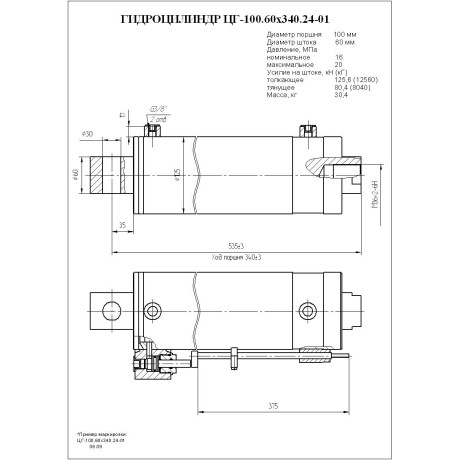 Гидроцилиндр ЦГ-100.60х340.24-01