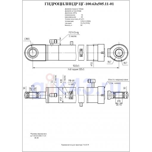 100 63. ЦГ-100.63Х505.11. ЦГ-100.63. Гидроцилиндр аутригера ЦГ 100.63. Гидроцилиндр ЦГ-100.63Х320.12.