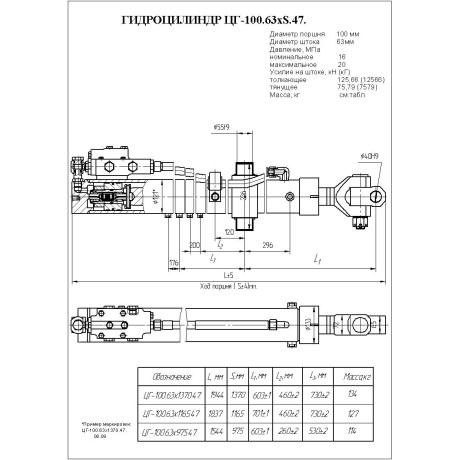 Гидроцилиндр ЦГ-100.63х975.47