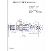 Гидроцилиндр ЦГ-100.80х6000.41