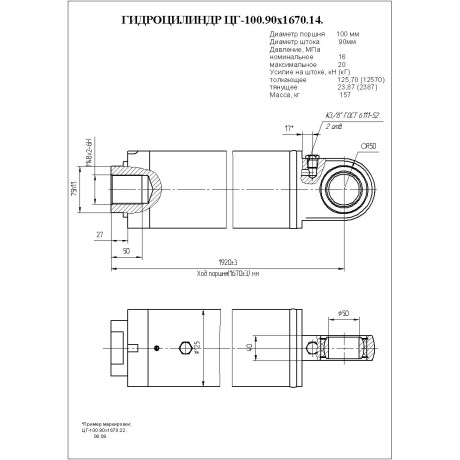 Гидроцилиндр ЦГ-100.90х1670.14