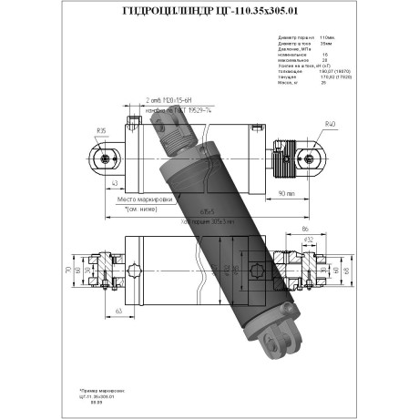 Гидроцилиндр ЦГ-110.35х305.01