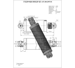 Гидроцилиндр ЦГ-115.40х305.01