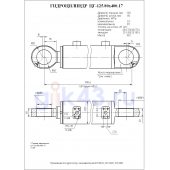 Гидроцилиндр ЦГ-125.80х400.17