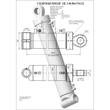Гидроцилиндр ЦГ-140.80х710.22