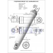 Гидроцилиндр ЦГ-140.80х800.18-01