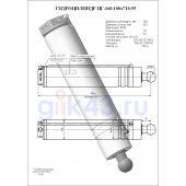 Гидроцилиндр ЦГ-160.100х710.55