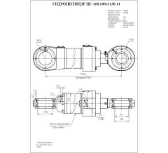 Гидроцилиндр ЦГ-160.100х1130.11