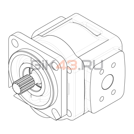 Насос шестеренный GHD1-29L-S05D13-SE04E03-NP.V1H4